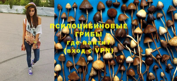 хмурый Кодинск