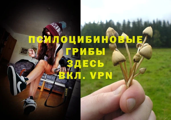 СК Коряжма