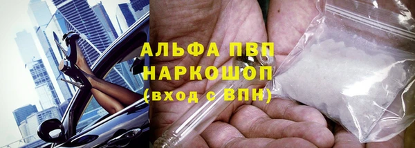 хмурый Кодинск